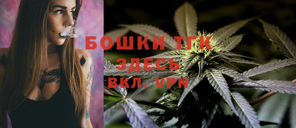 ешки Аркадак