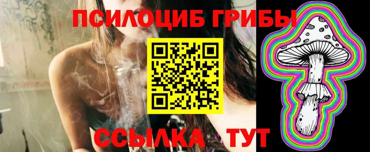 Псилоцибиновые грибы GOLDEN TEACHER Новомосковск