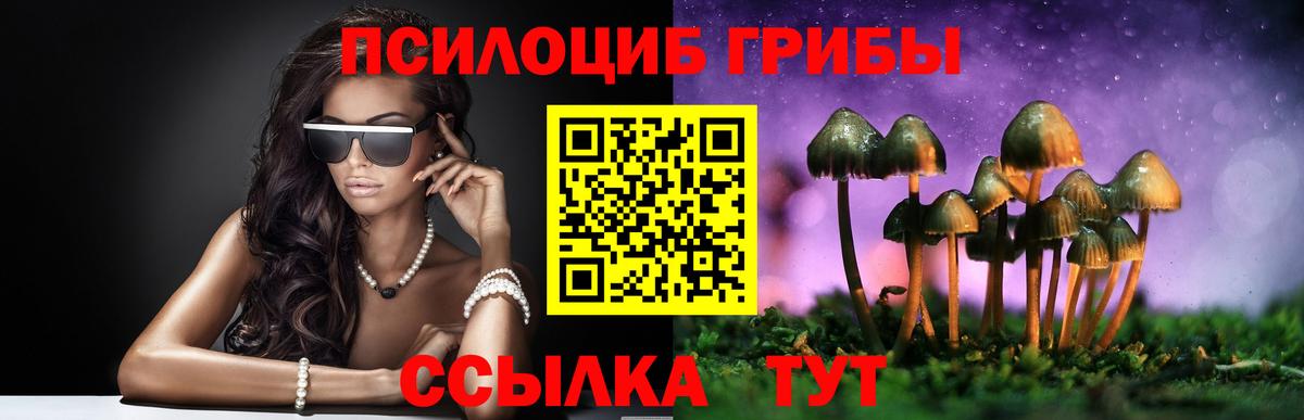 Галлюциногенные грибы Cubensis  Вход с VPN  Новомосковск  Галлюциногенные грибы Cubensis 